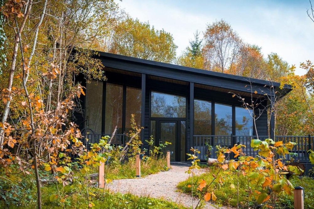 A Drumhierny chalet set among autumn woodland